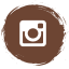 intsgram icon with link